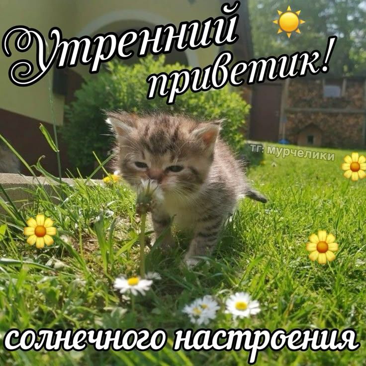 БПВЛНПГ tweet media