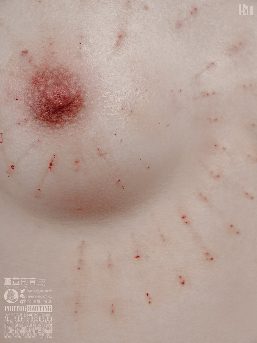 不见夏鱼 tweet media