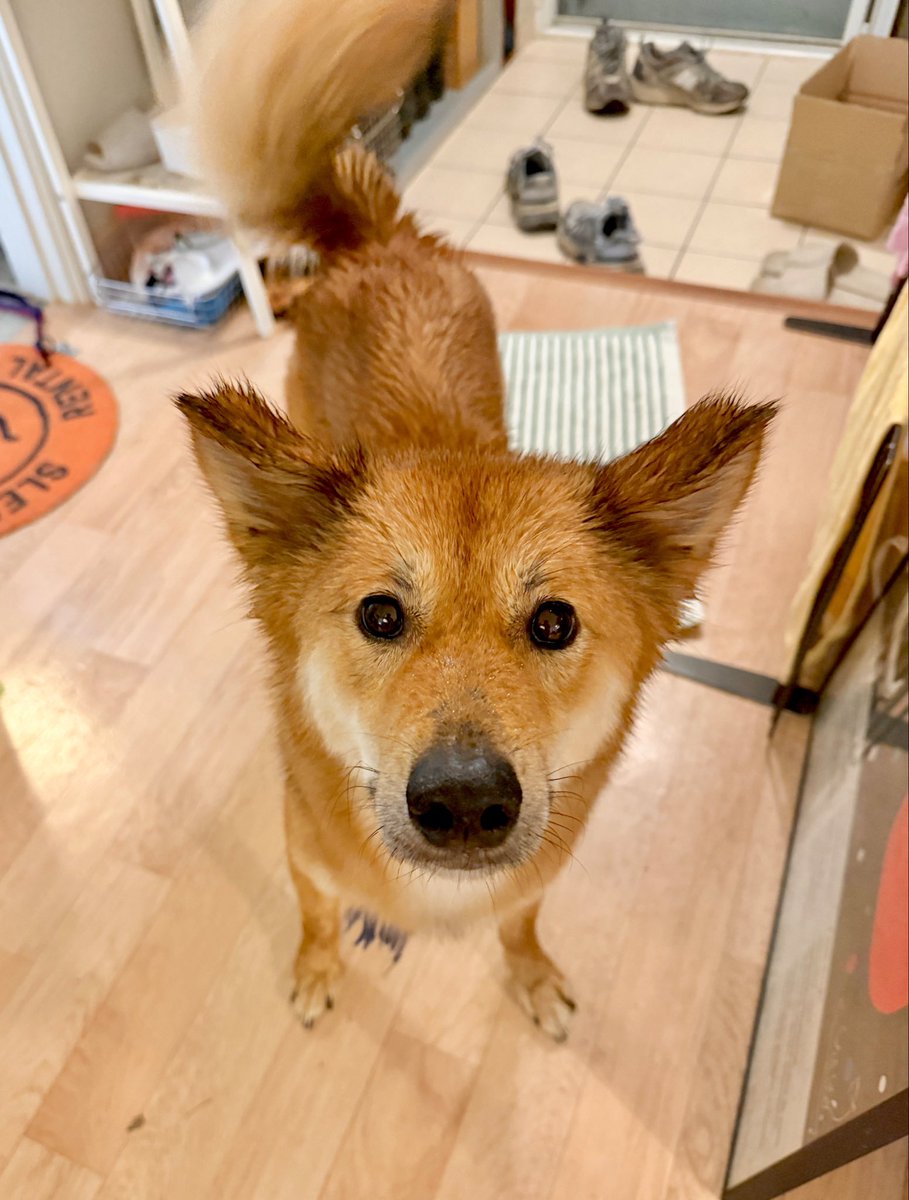 ๋จ์กฐ tweet media