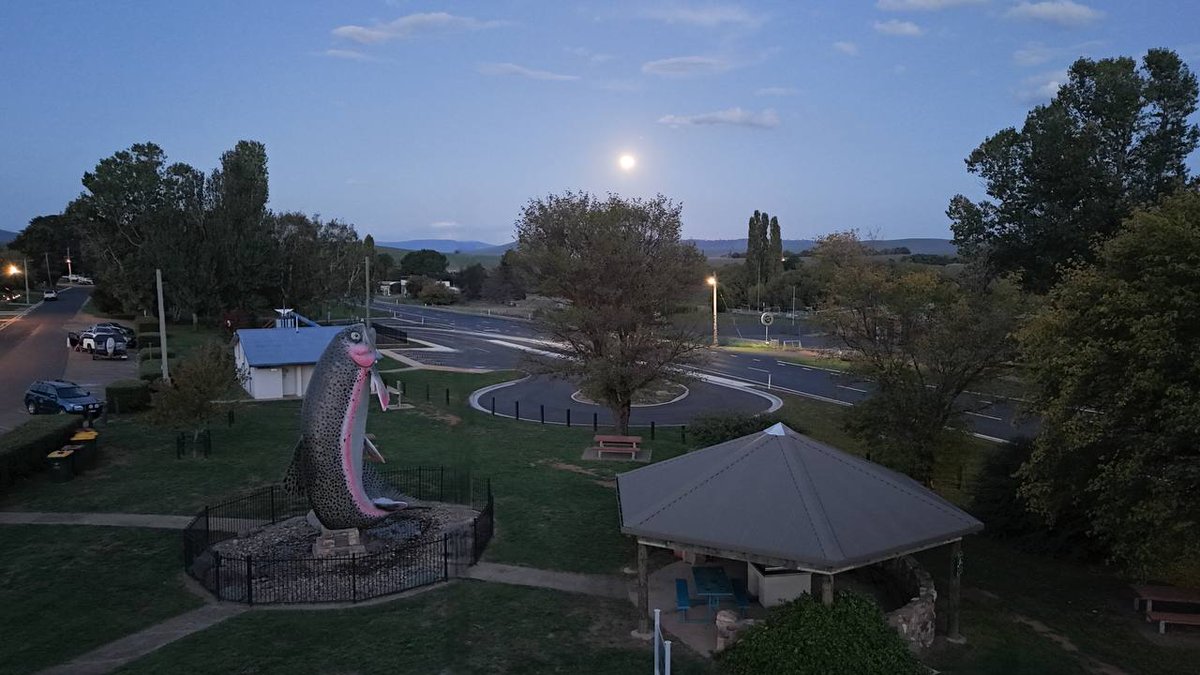 $BigTrout Mode🌊🐟 tweet media