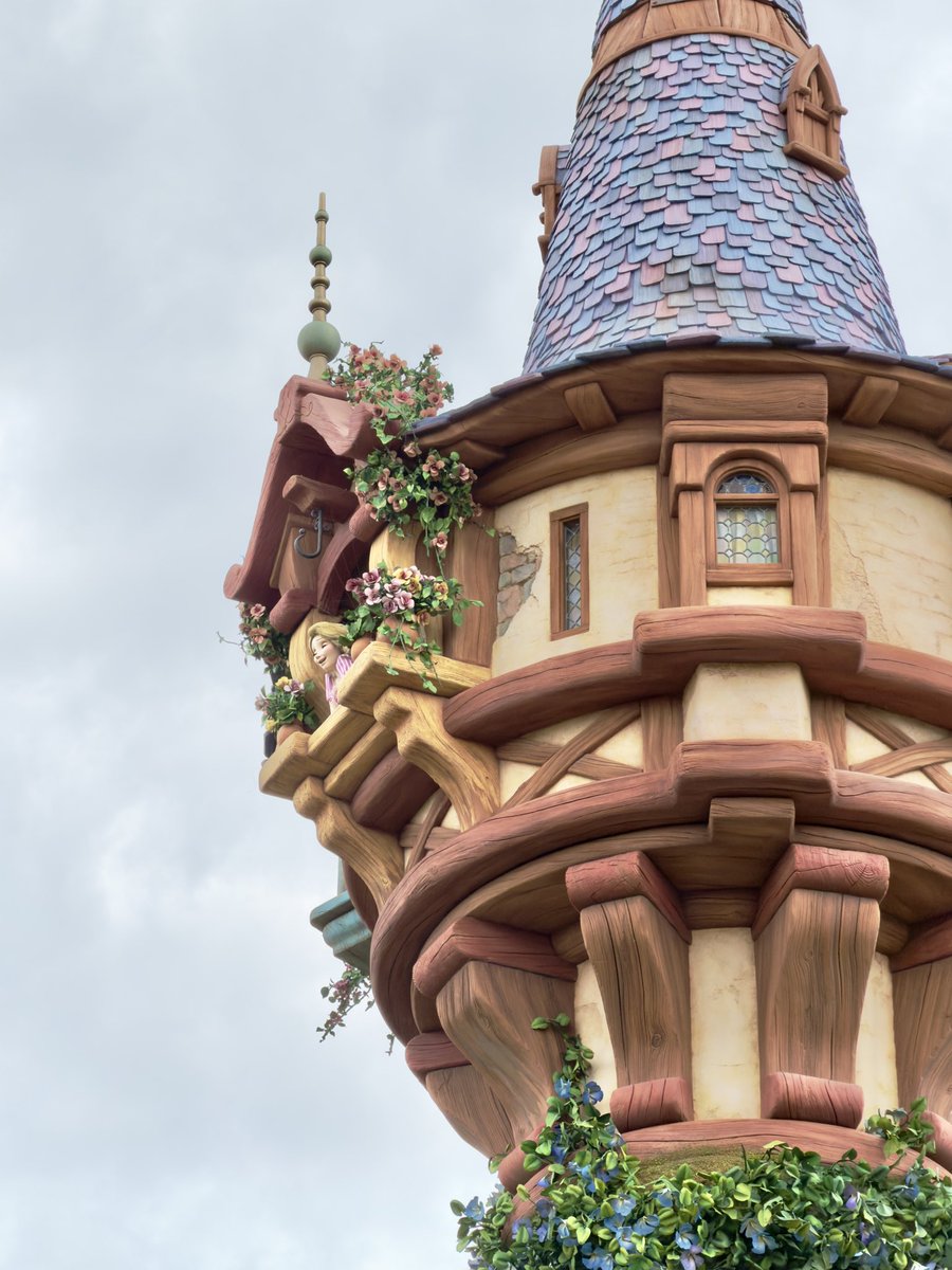 MezzoMiki tweet media