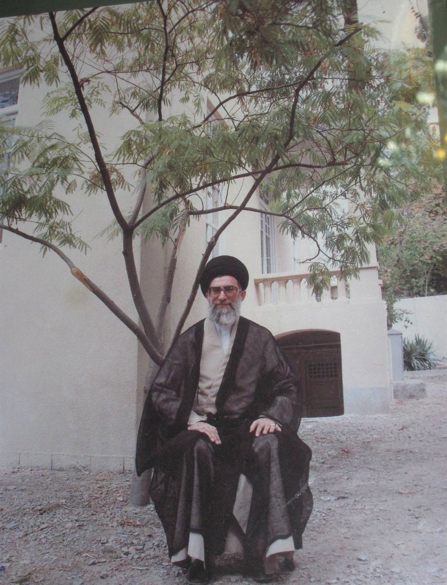 مهتاب عسگری tweet media