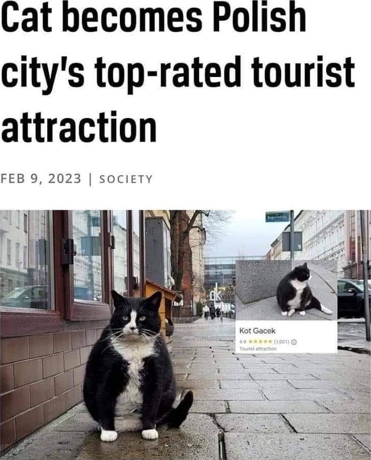 ShitpostGateway tweet media