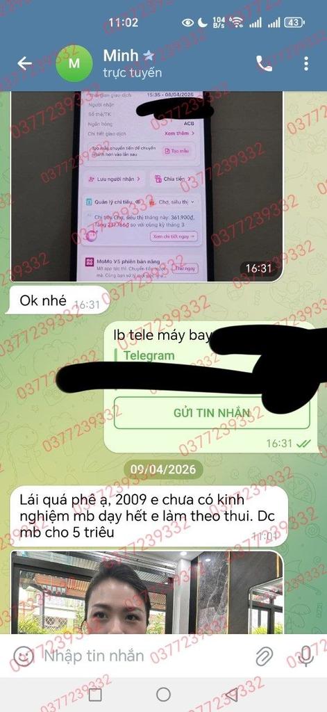 máy bay uy tín nhất VN tweet media