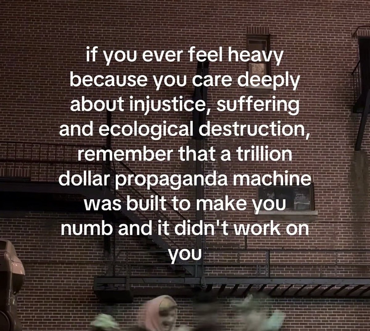 militant tweet media