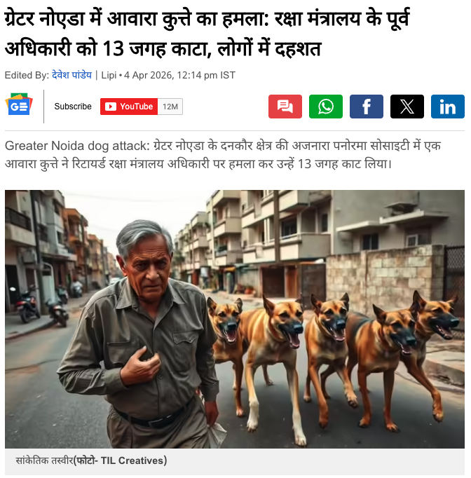 stray dogs have more protection  in India than endangered species, women and children...