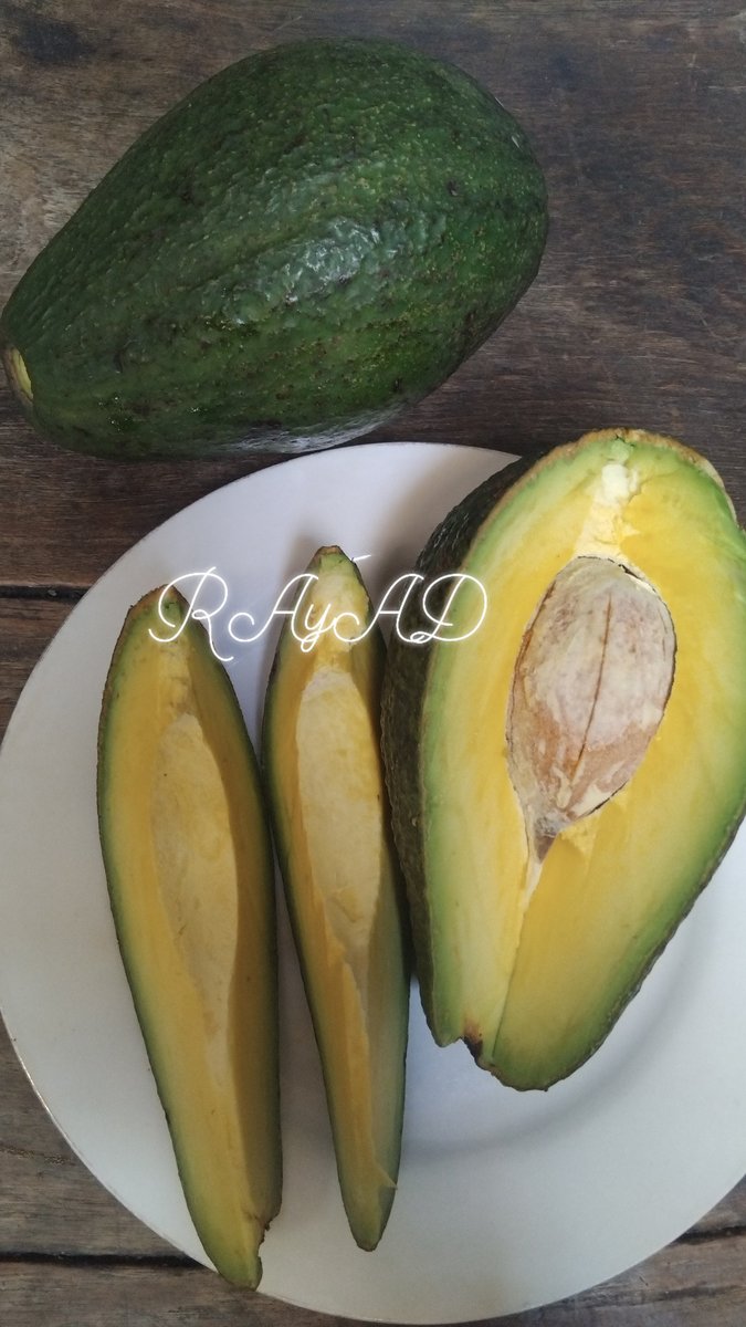 ☀️☯️ Ĕxčèĺ Ďèé🌏🌱 tweet media