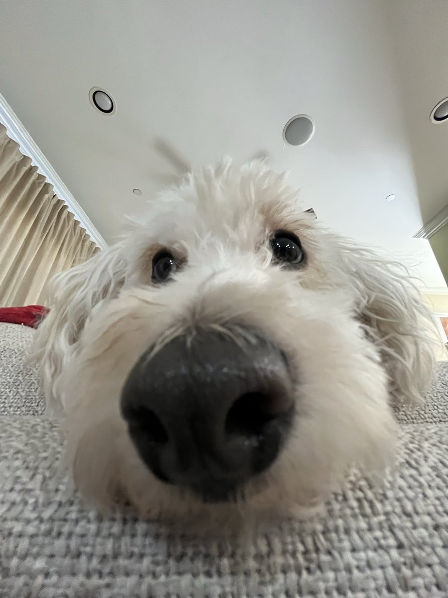 Yam 🥐🎼 tweet media