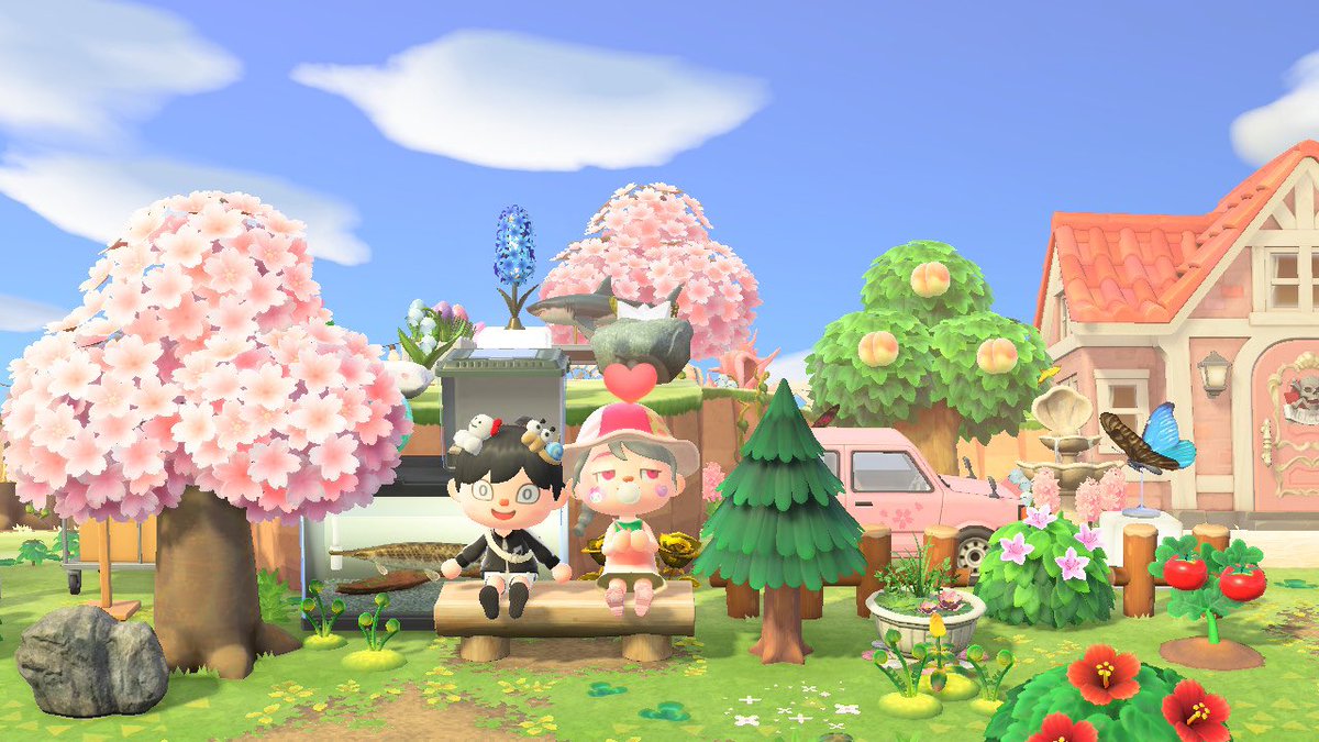 🍑 연이 tweet media