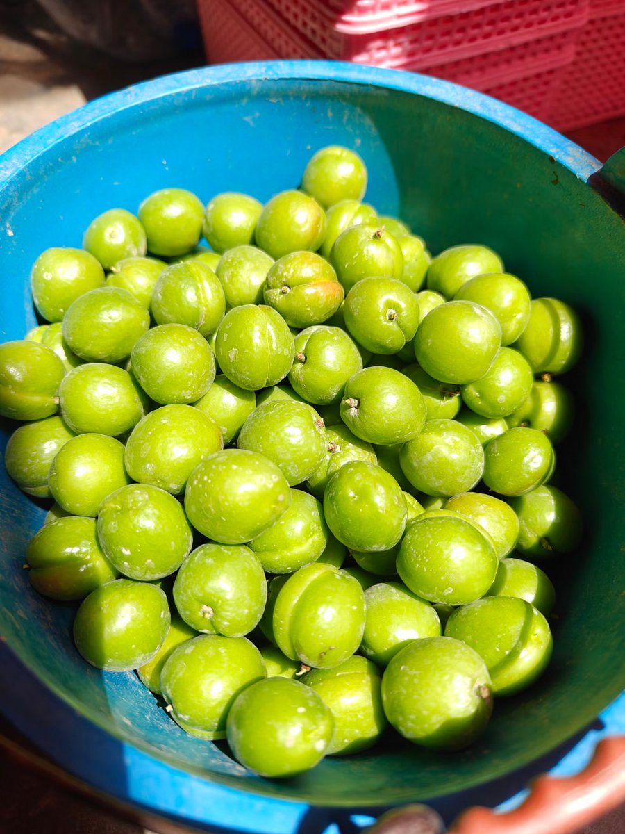 Lyna’s Vibe tweet media