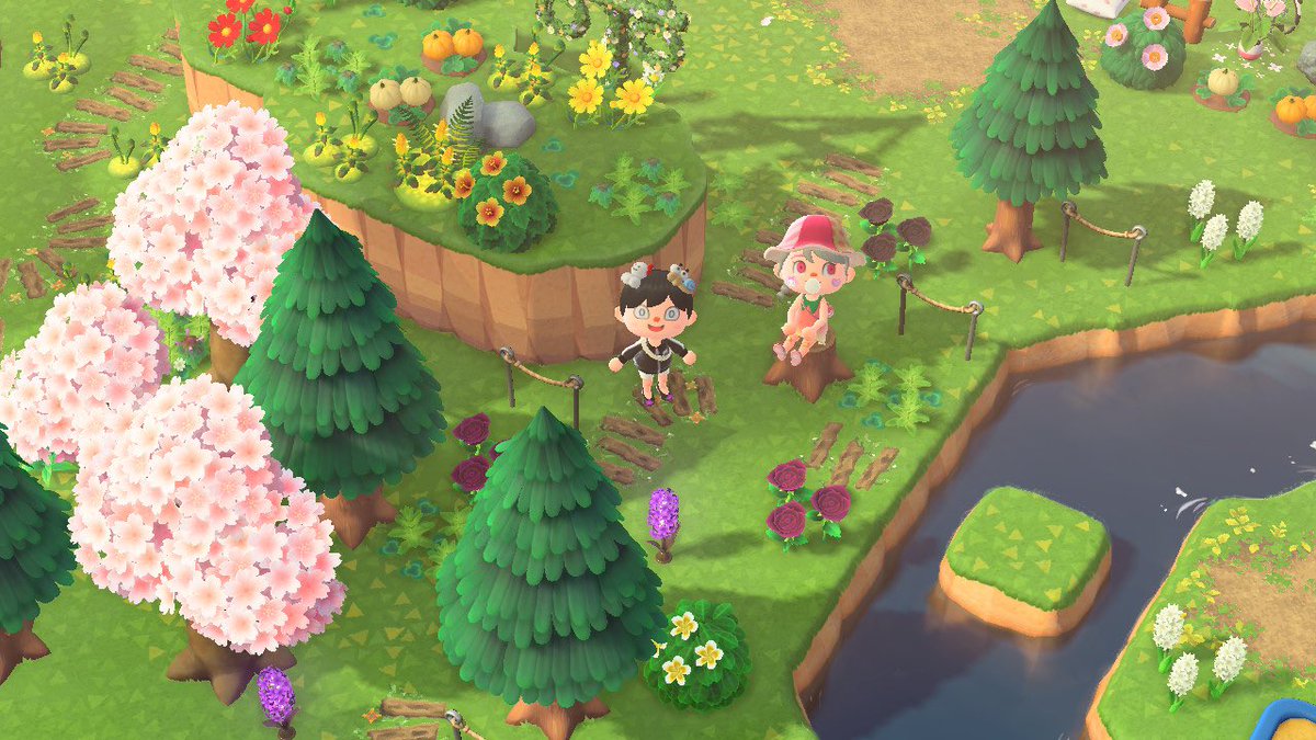 🍑 연이 tweet media