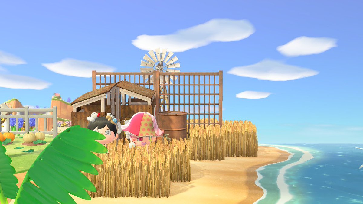 🍑 연이 tweet media