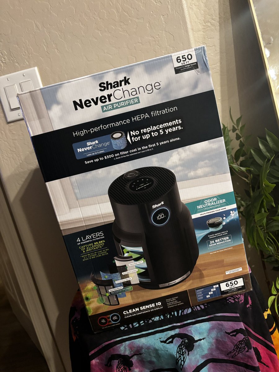 𝑨𝒇𝒕𝒐𝒏 𝑴𝒂𝒓𝒊𝓮 tweet media