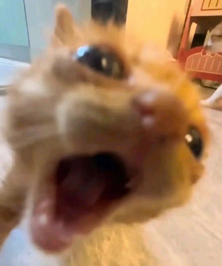 Cake 🧁🩵 | PRE DEBUT tweet media