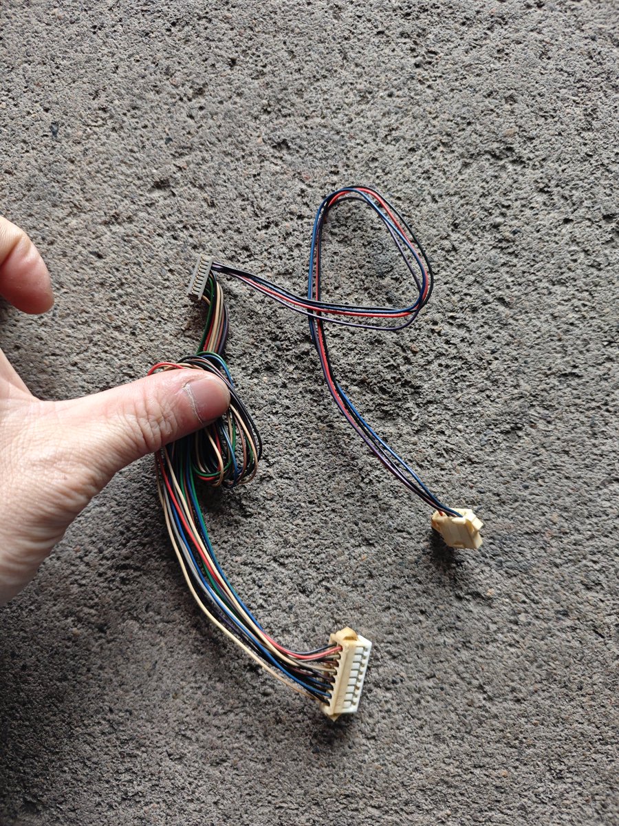 青緑龍(びじむと) tweet media