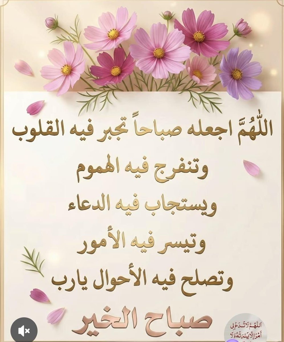 holcj830RAhsSGP's tweet photo. صبحكم الله بالخير والبركة https://t.co/r9Zgqz6H0U