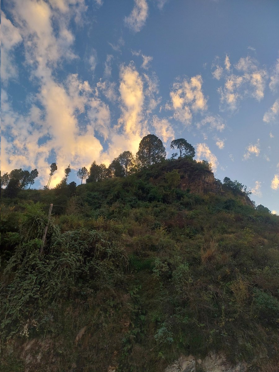 Nature Lover tweet media