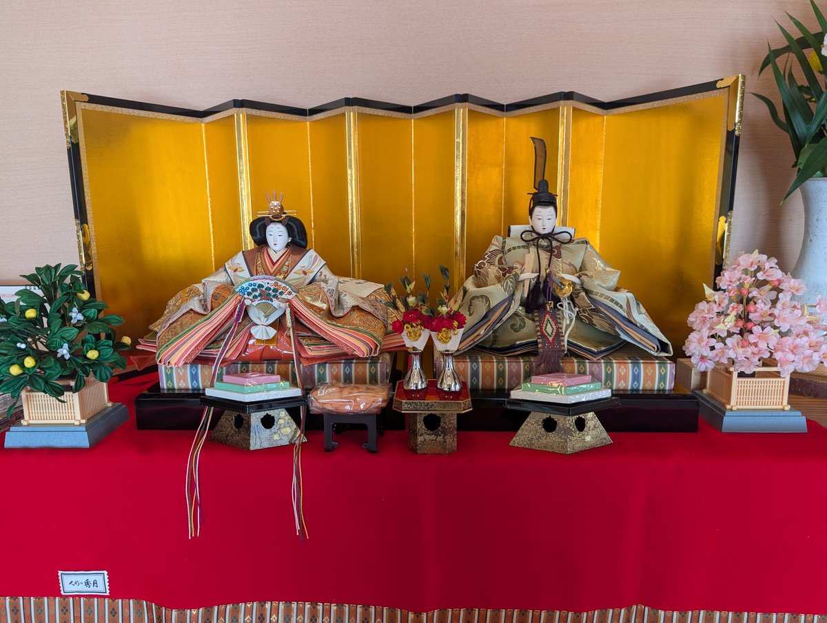 シマネッコ tweet media