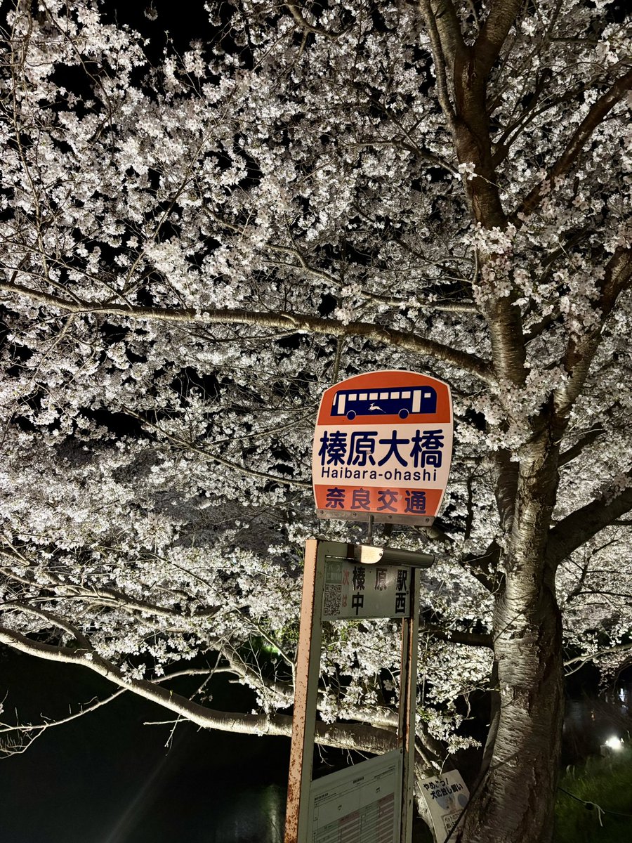 写真日和 tweet media