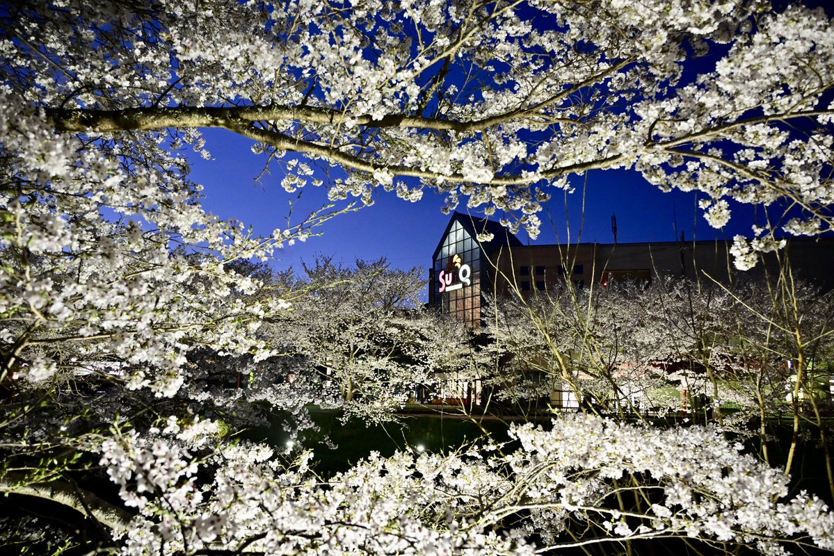 写真日和 tweet media