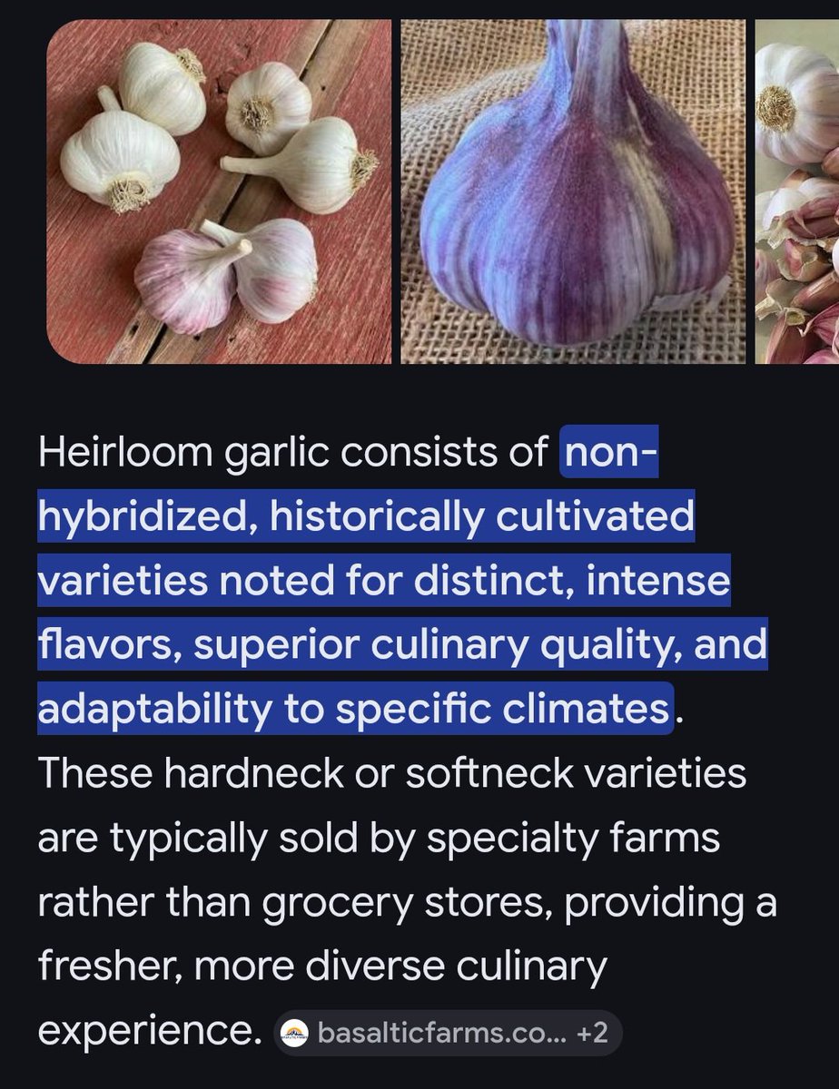 jimbo baggins tweet media