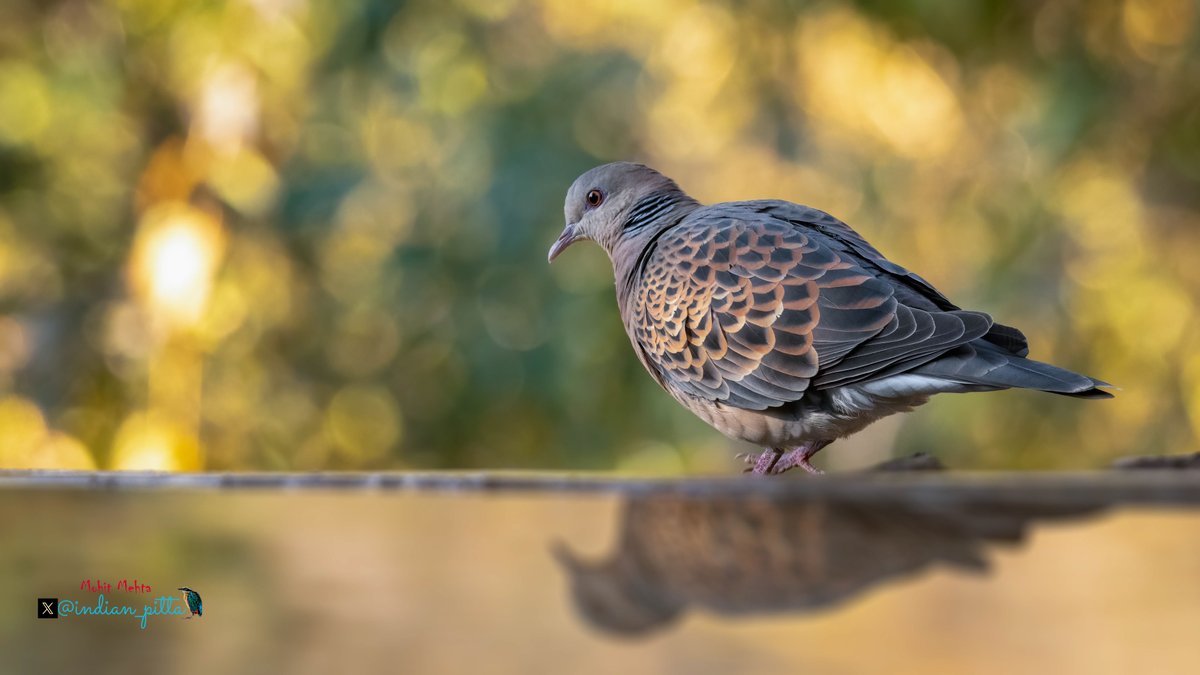 Mohit Mehta tweet media