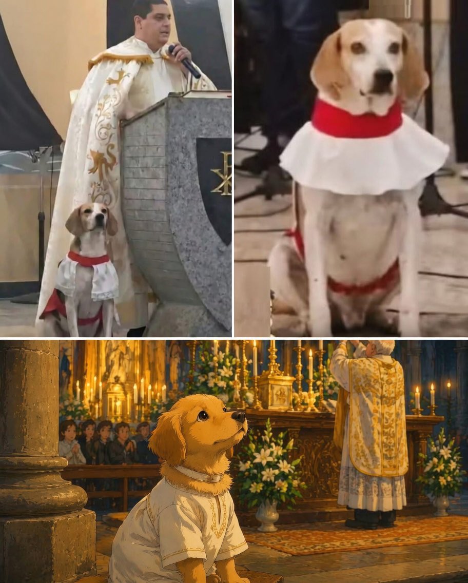 Dilo con perritos tweet media