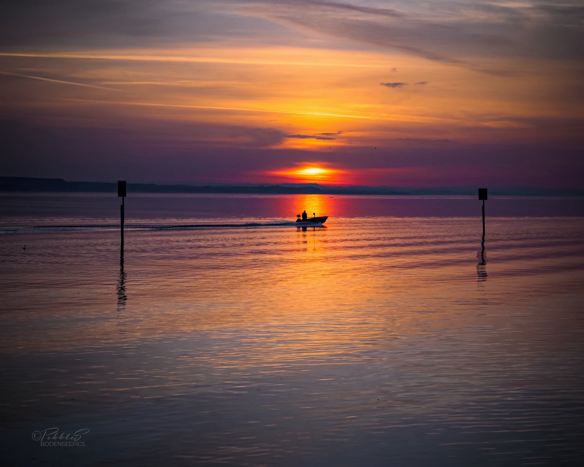 Pia Scheuer | BODENSEEPICS tweet media