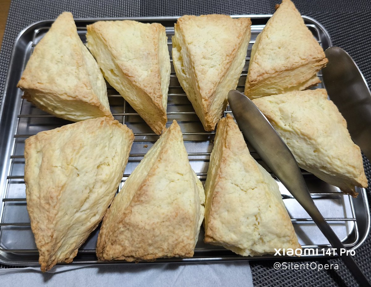 琴浦🍄4/4,5横浜4/6有楽町 tweet media