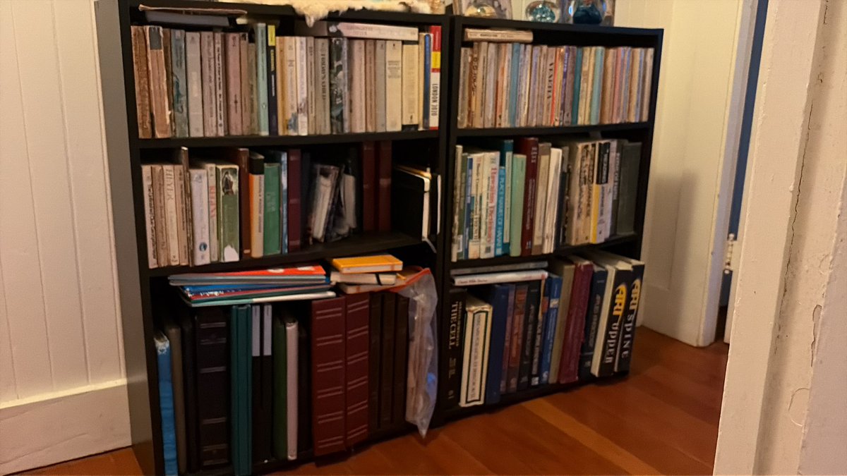 Wren Anderson tweet media