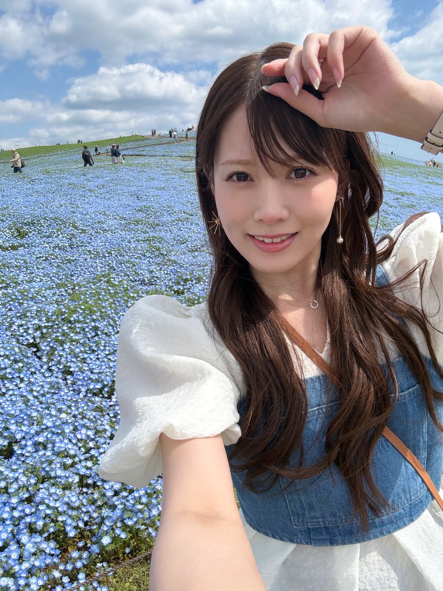 国営 #ひたち海浜公園 今日でネモフィラは5分咲き! でもこんなに綺麗な