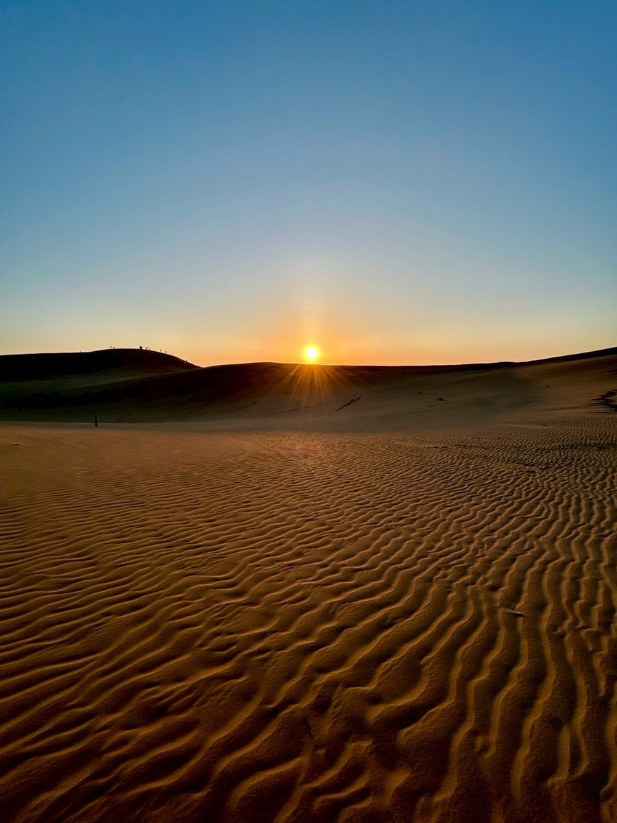 鳥取砂丘ビジターセンター tweet media