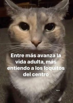 FraseSimple's tweet photo. https://t.co/oDY7xZrLWR
