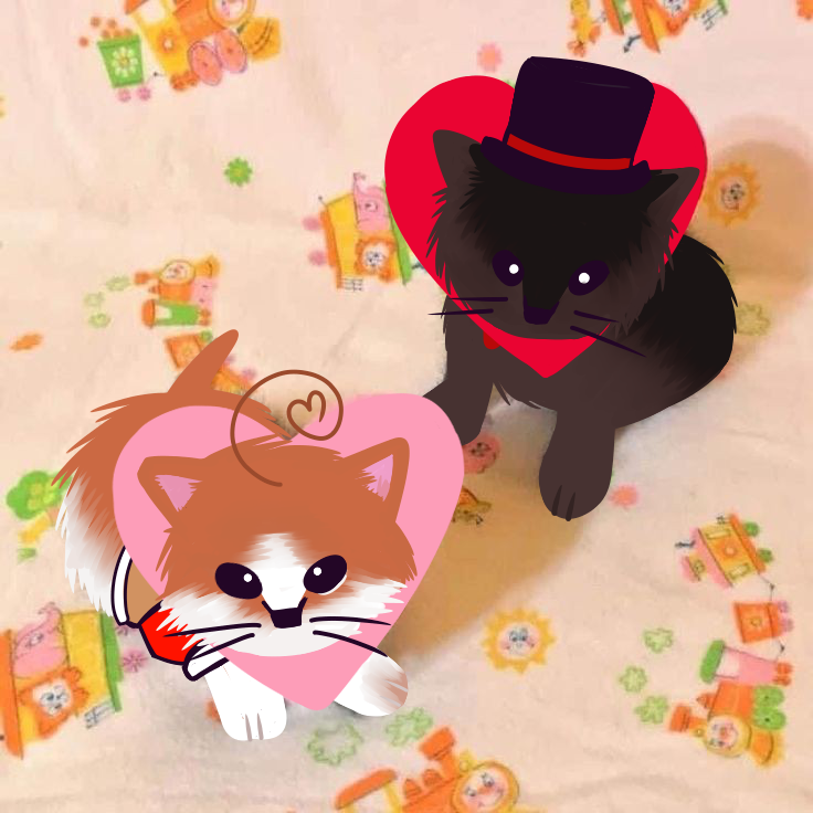 Dgo fan de sarpi 🌷⚡ tweet media