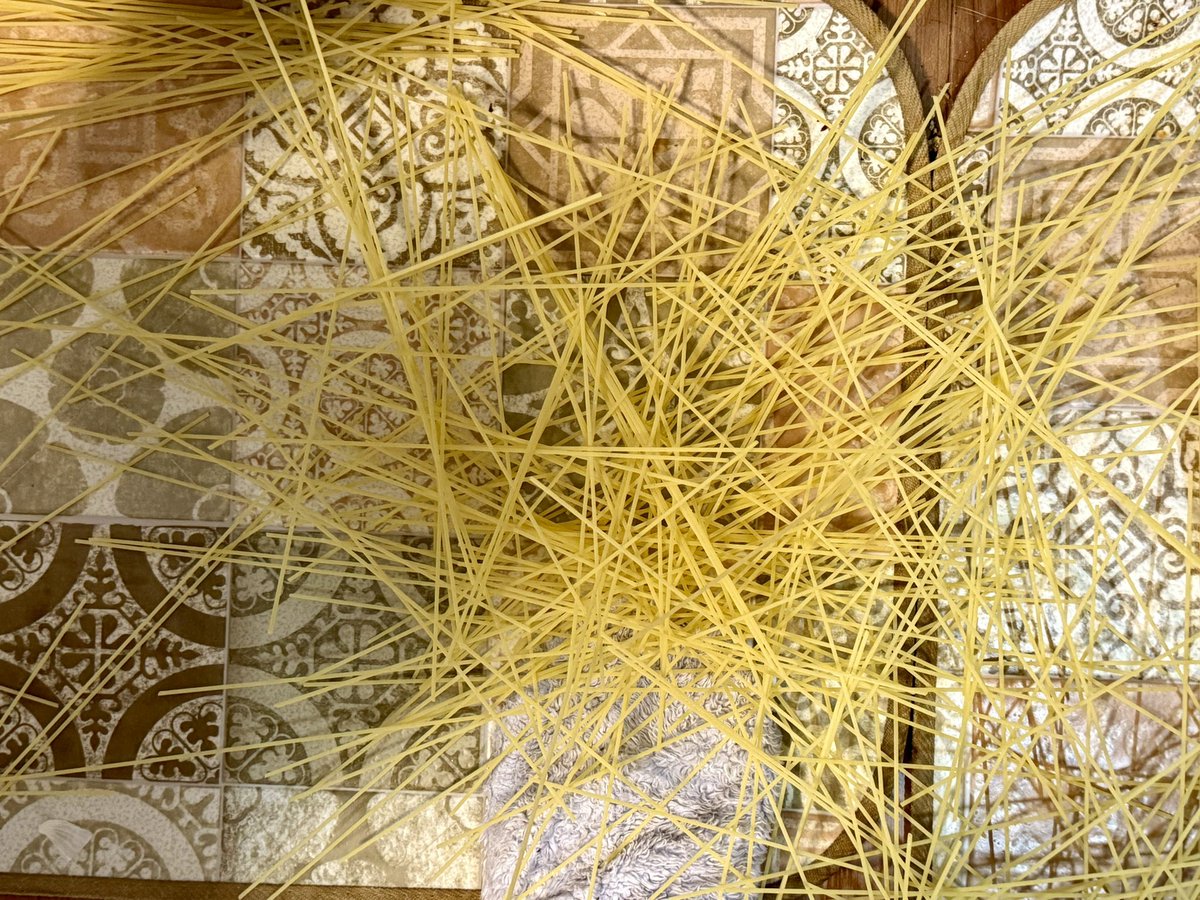 櫛 海月 tweet media