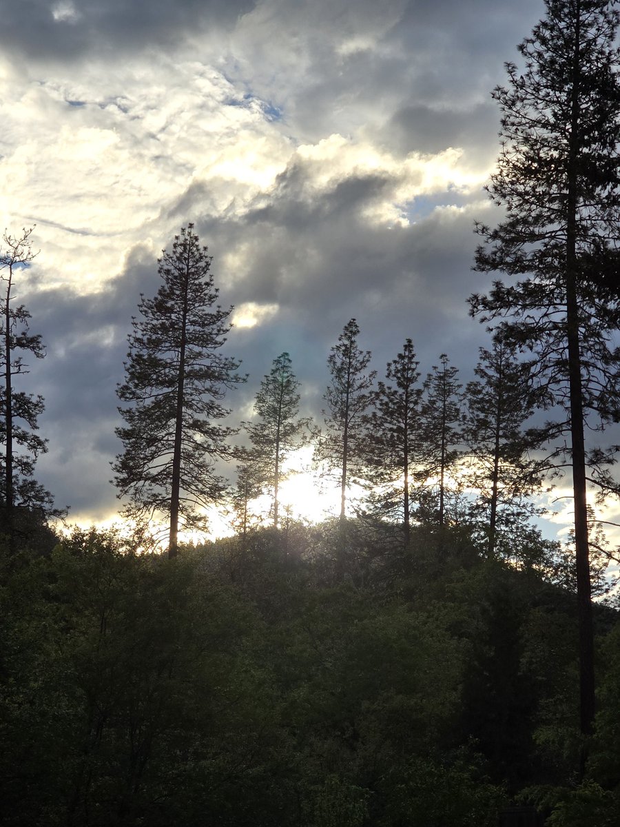 AshleyS05388125's tweet photo. Some pretty pics of the sun peaking through the clouds after the storm tonight!
#godisgreat #godly #devine #beautifully created https://t.co/LArc2dWfGv