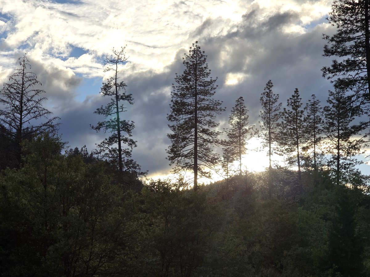 AshleyS05388125's tweet photo. Some pretty pics of the sun peaking through the clouds after the storm tonight!
#godisgreat #godly #devine #beautifully created https://t.co/LArc2dWfGv
