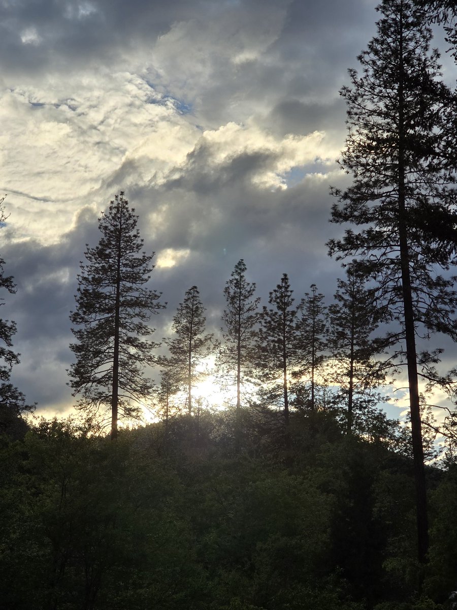 AshleyS05388125's tweet photo. Some pretty pics of the sun peaking through the clouds after the storm tonight!
#godisgreat #godly #devine #beautifully created https://t.co/LArc2dWfGv