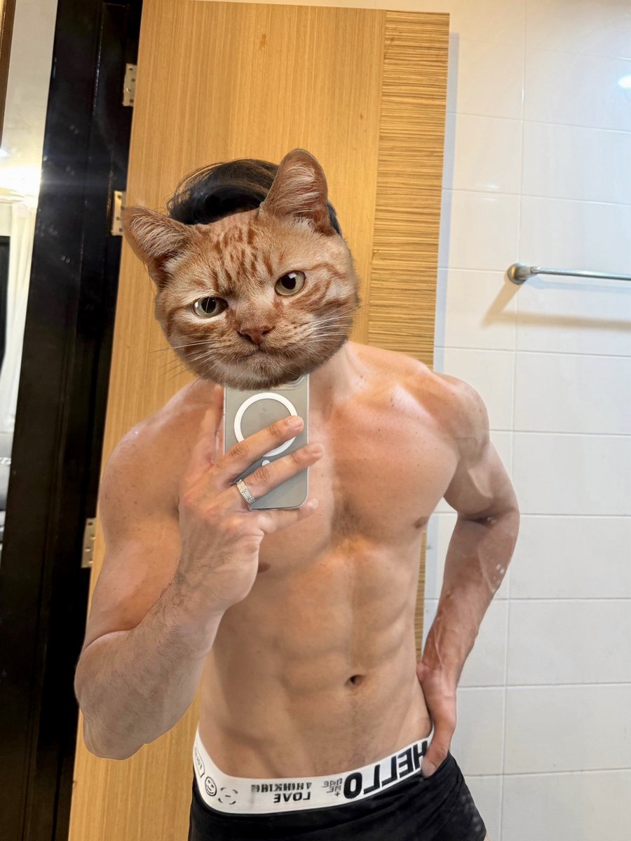 แมวส้ม 😼 tweet media