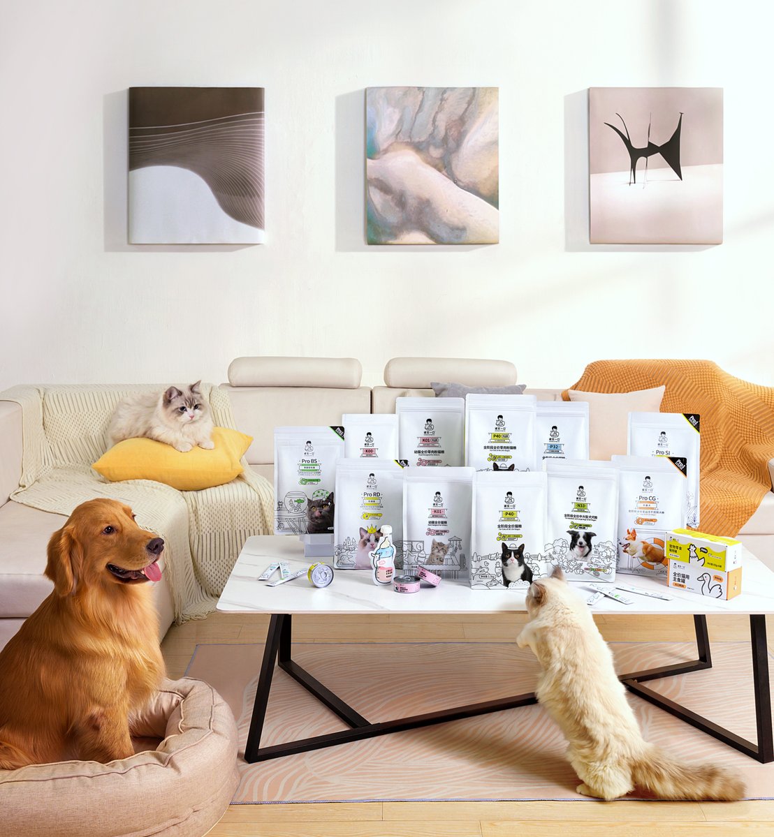 Takchand Kumar tweet media