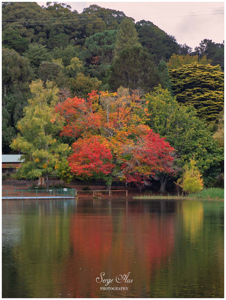 aus_serge's tweet photo. Emerald Lake, Dandenongs.
#photography https://t.co/NVl1nWslgp