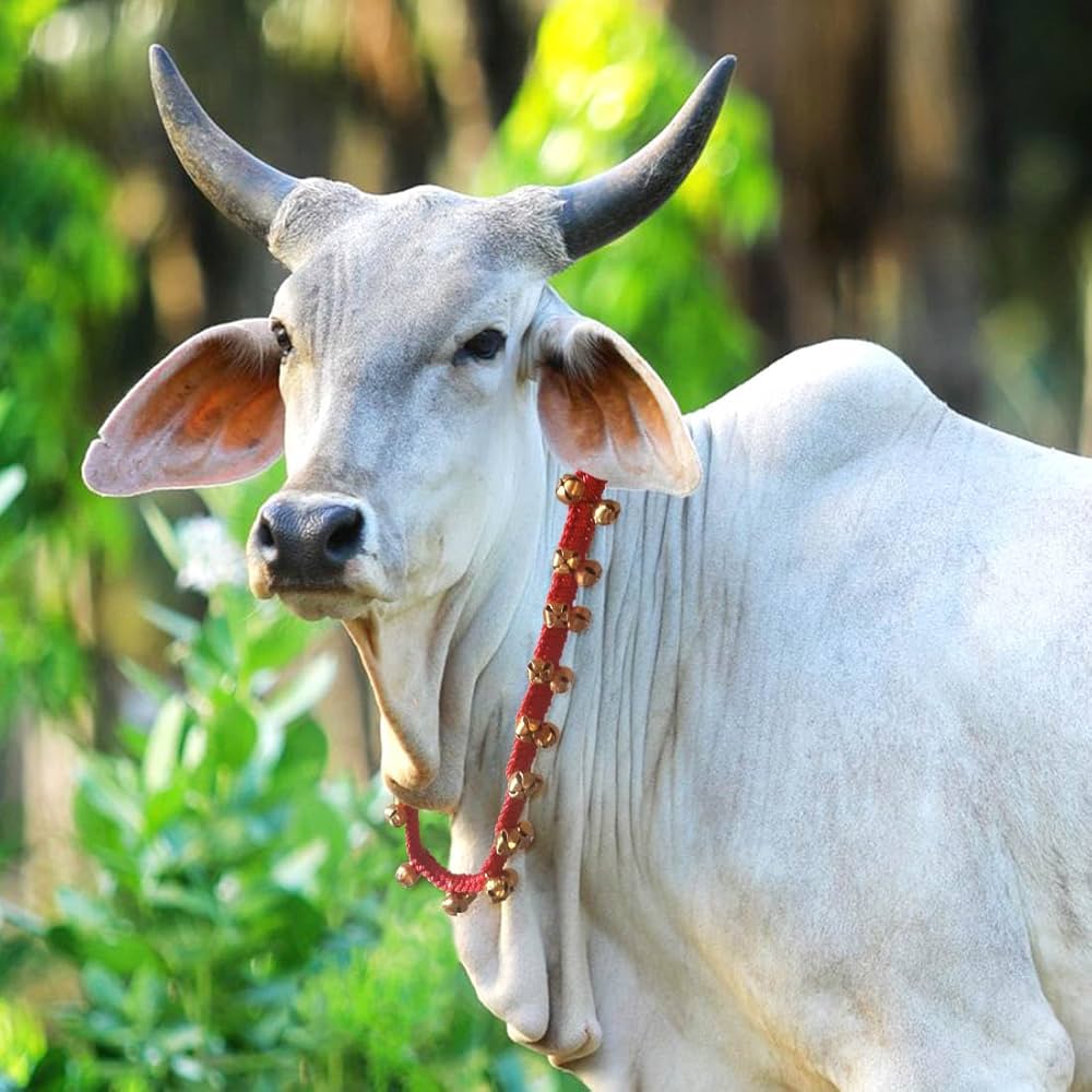 Muslim IT Cell tweet media