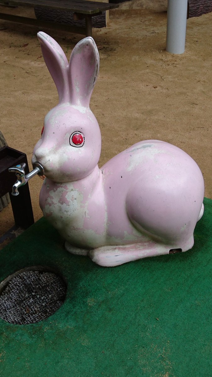 かいつむり@本物 tweet media