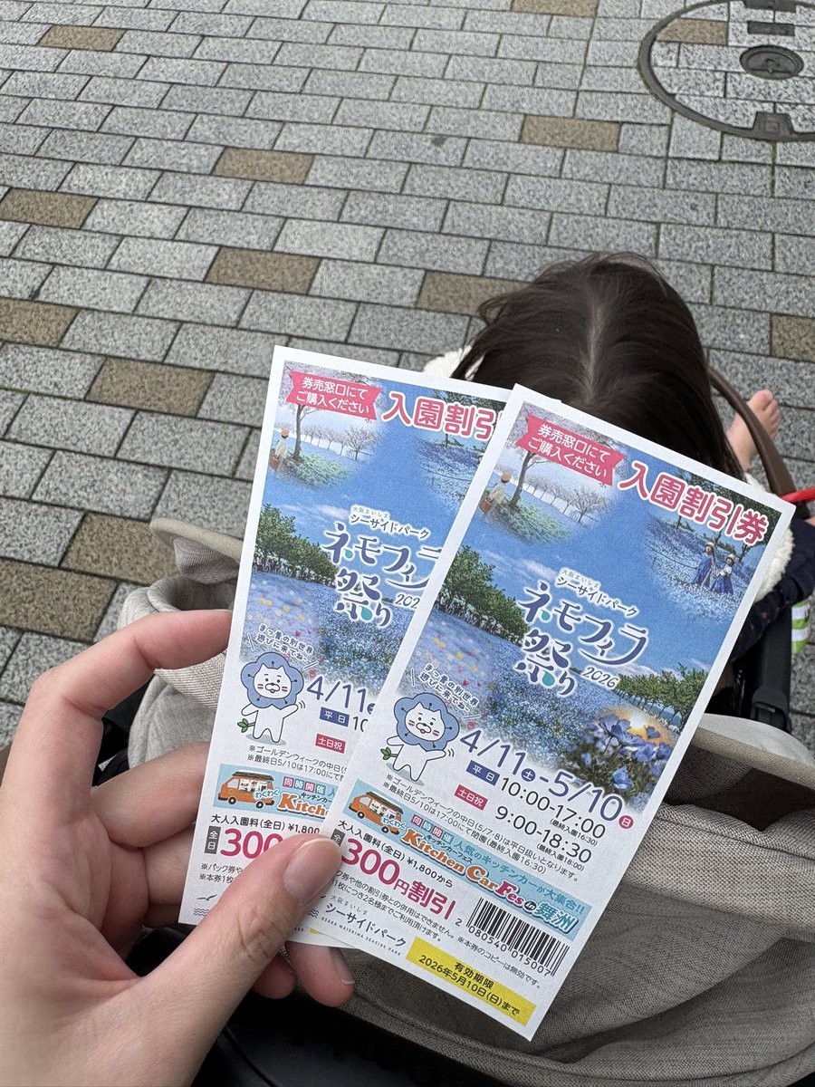 alpha🪽.*･ﾟ【あるふぁ】4月🔴パガチ参戦 tweet media