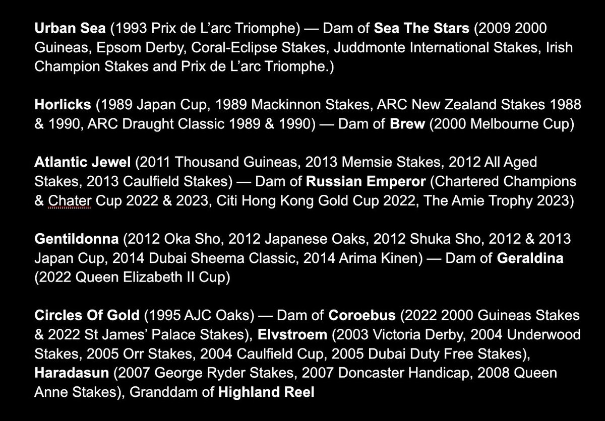 Lunar & Sunny 🐴 tweet media