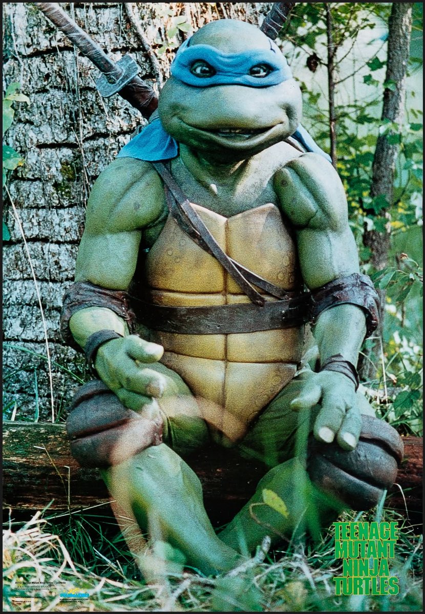 🐢 The Old Turtle Den 🍕 tweet media