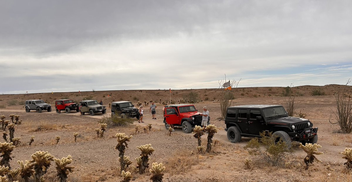 Tina E 😎 tweet media