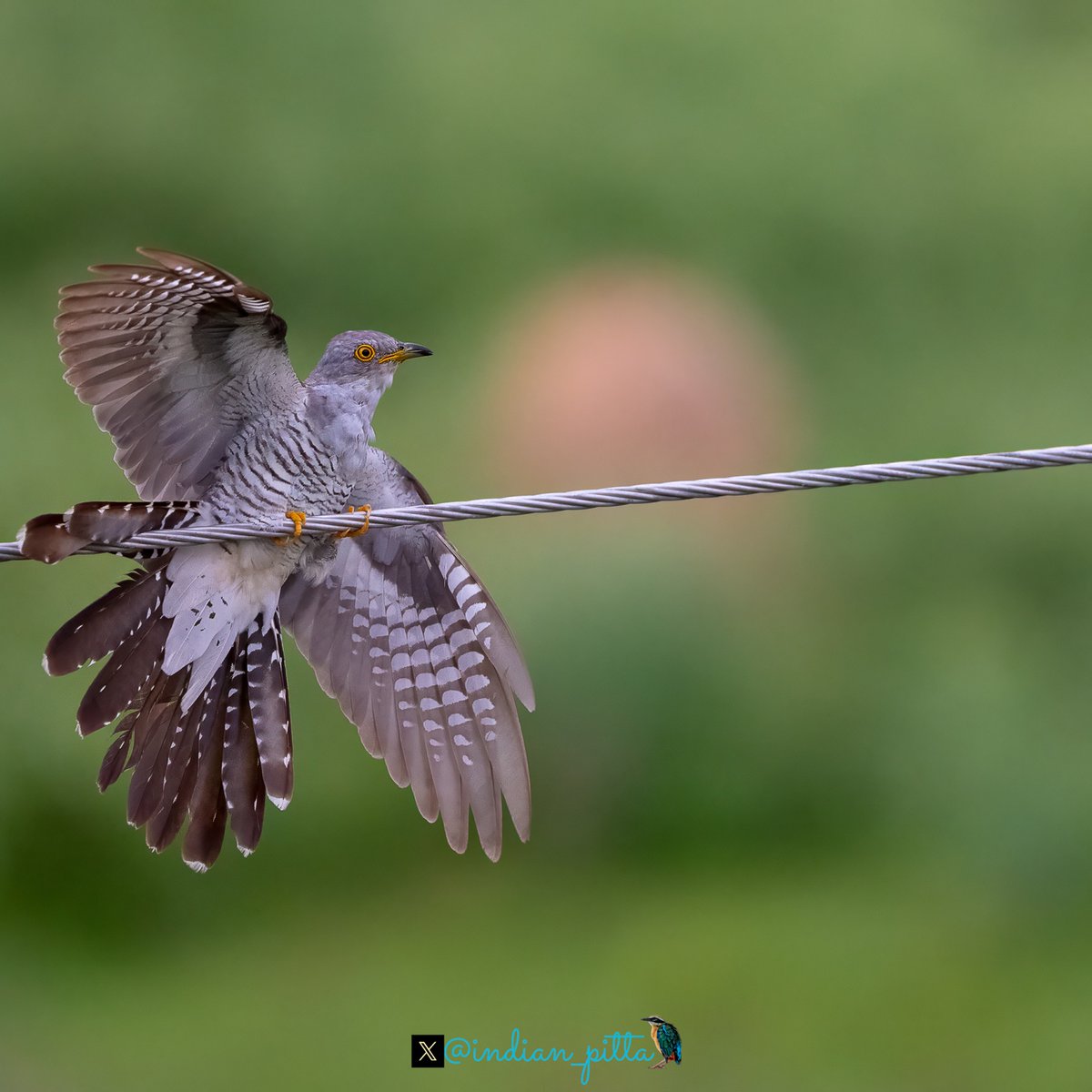 Mohit Mehta tweet media