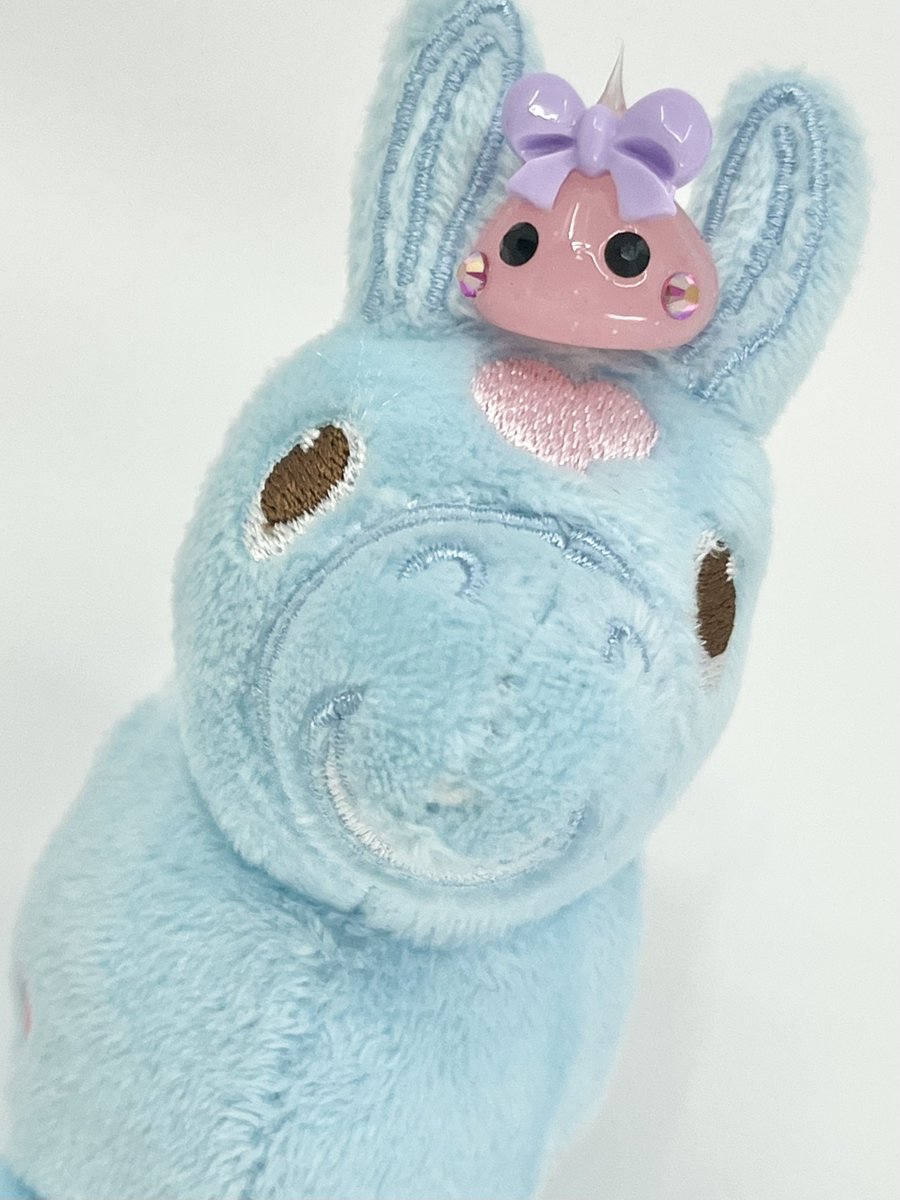 RODY（ロディ） tweet media