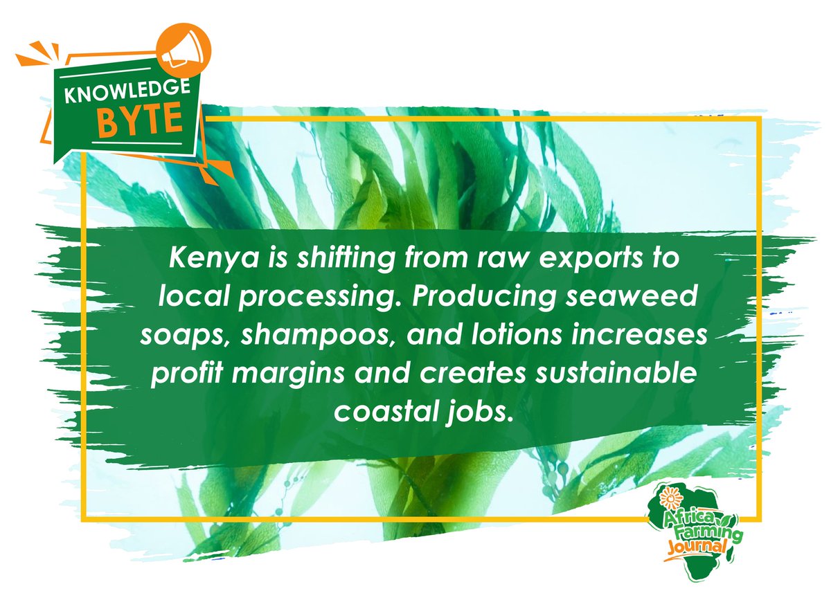 @Africafarmingjournal tweet media